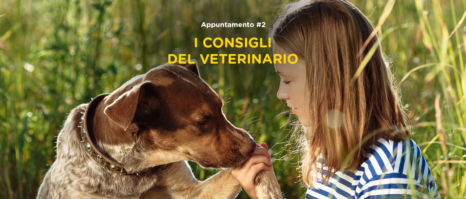 ANTIPARASSITARI: la prevenzione nel cane