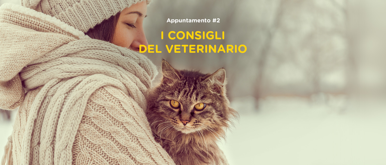 ANTIPARASSITARI: la prevenzione nel gatto