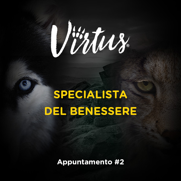 Virtus® specialista del benessere #2