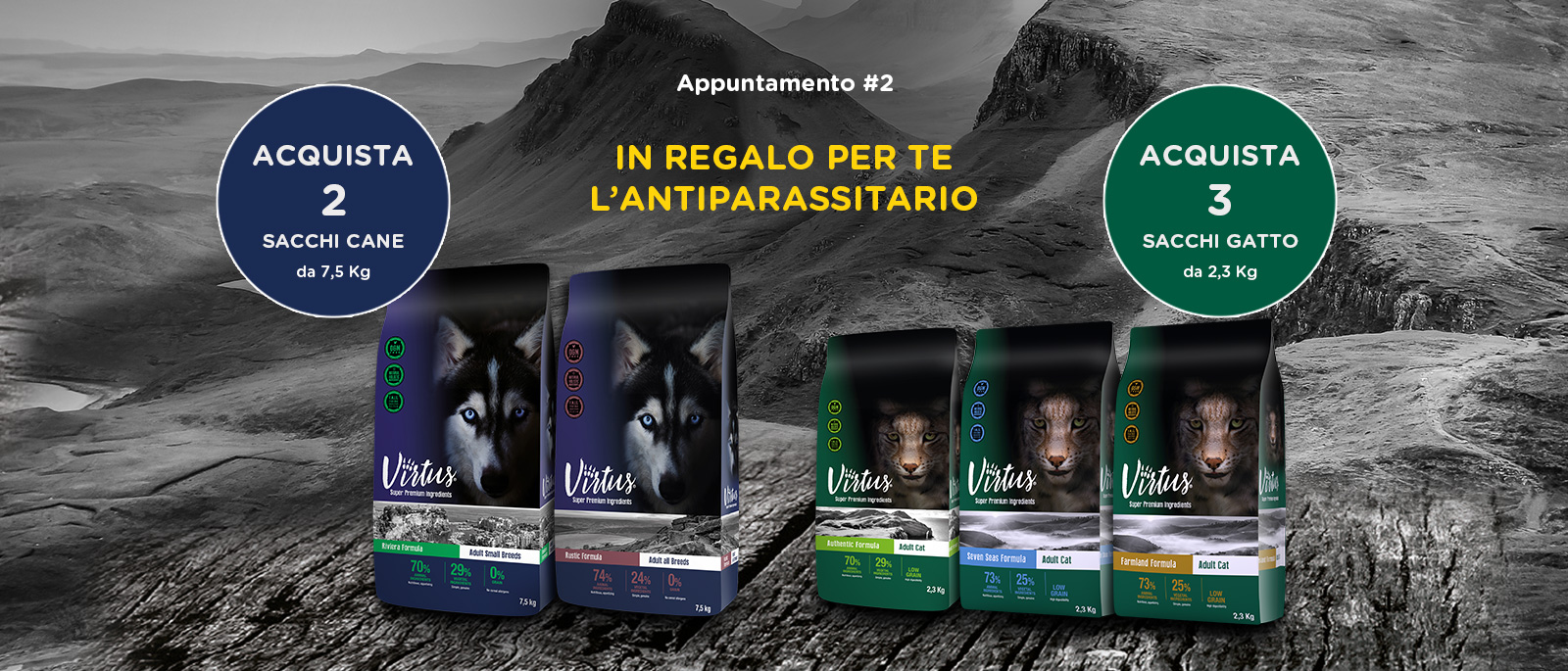 Virtus® specialista del benessere #2