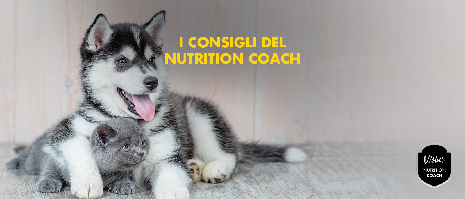 L’importanza della nutrizione dei cuccioli e gattini