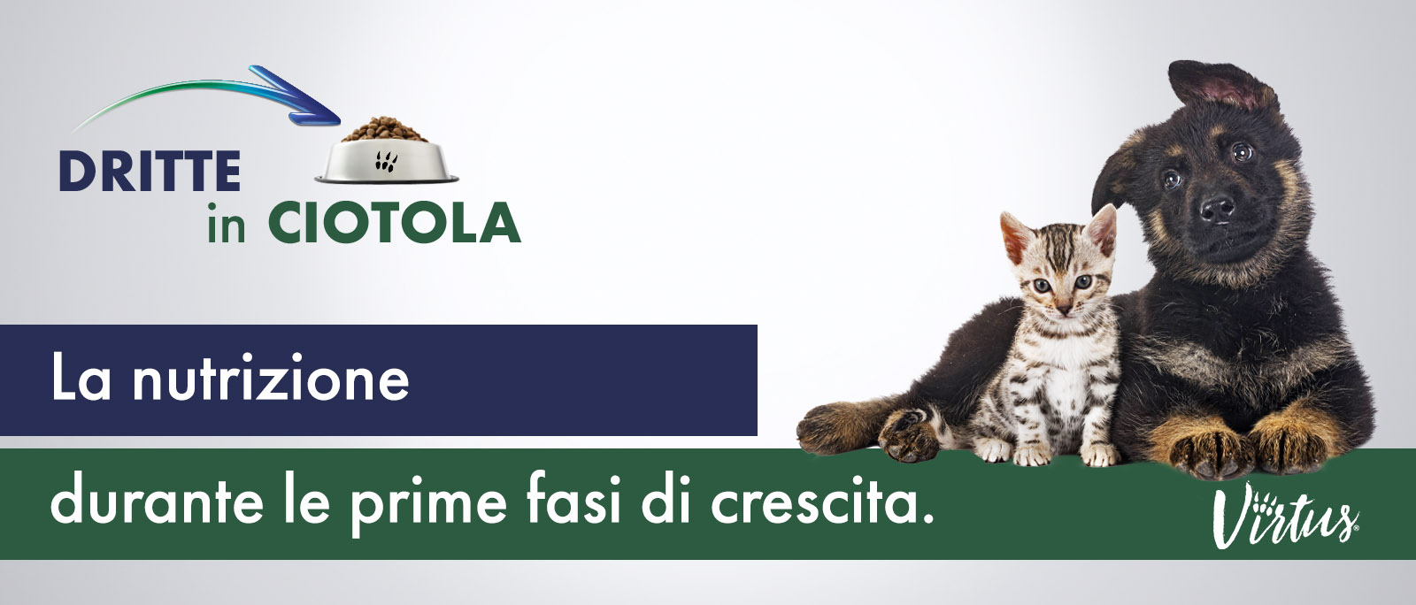 La nutrizione durante le prime fasi di crescita