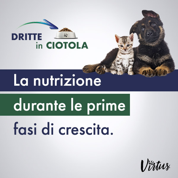 La nutrizione durante le prime fasi di crescita