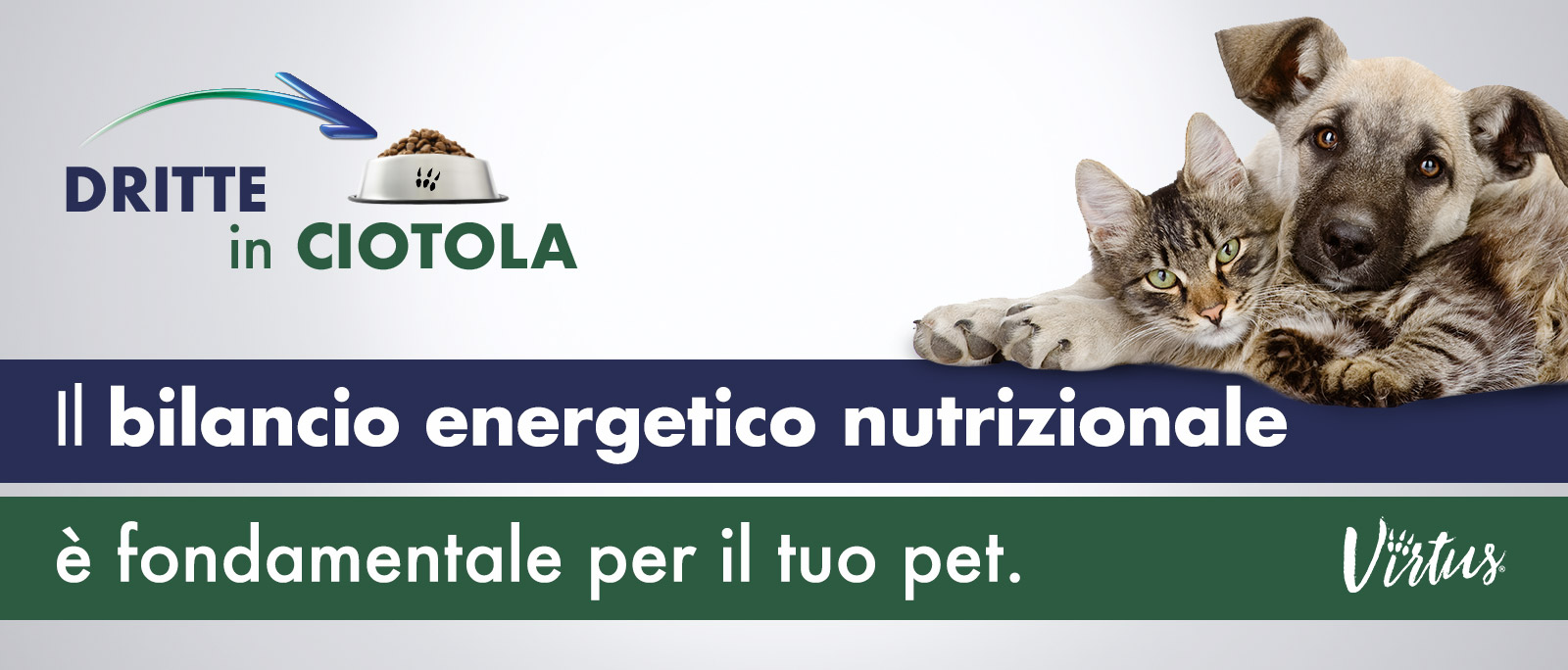 BILANCIO ENERGETICO NUTRIZIONALE