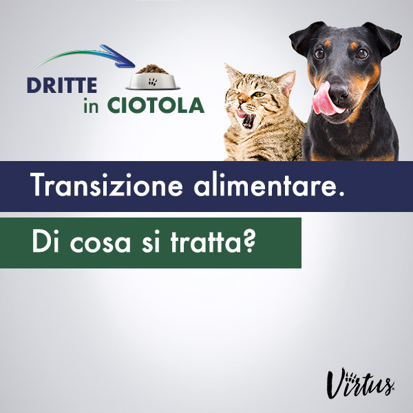 TRANSIZIONE ALIMENTARE