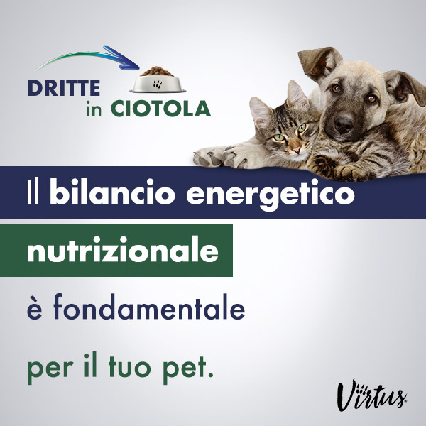 BILANCIO ENERGETICO NUTRIZIONALE