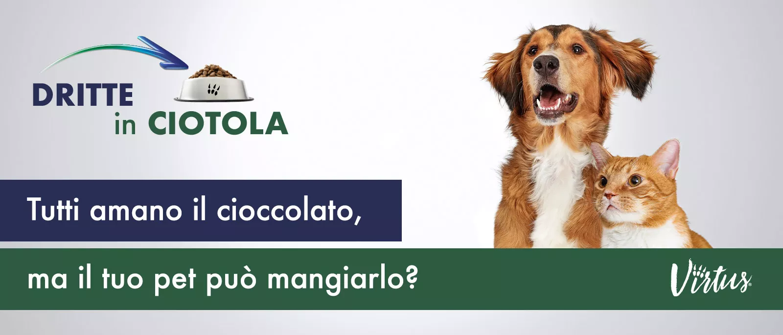 IL CIOCCOLATO PER IL CANE E IL GATTO