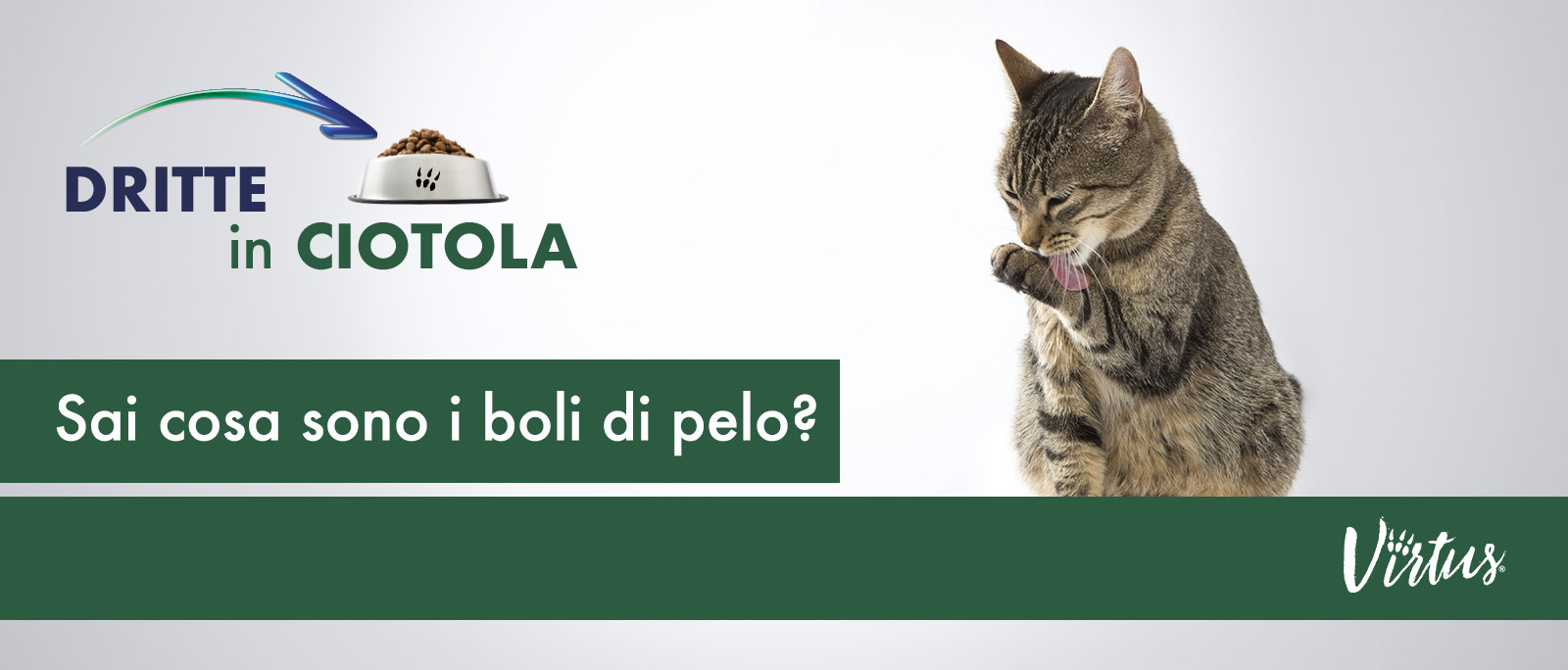 I BOLI DI PELO DEL GATTO