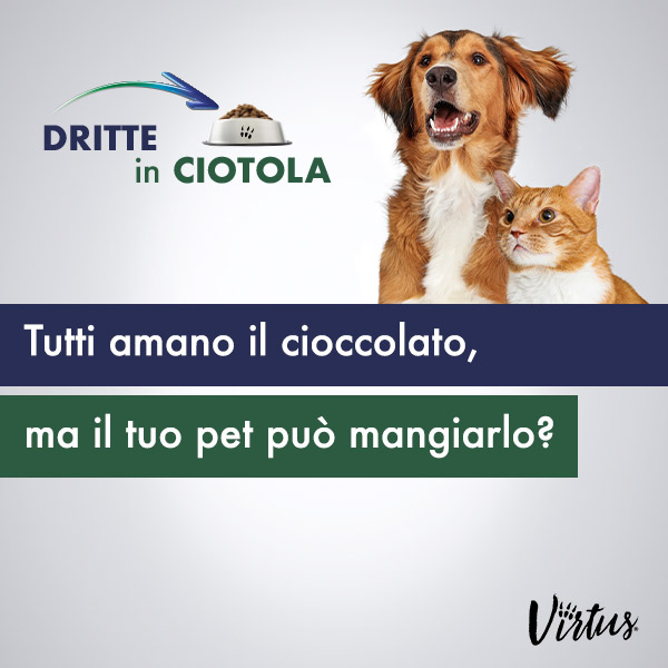 IL CIOCCOLATO PER IL CANE E IL GATTO