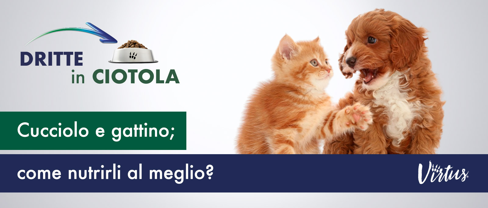 CUCCIOLO E GATTINO: COME NUTRIRLI AL MEGLIO?