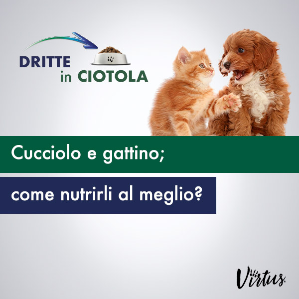 CUCCIOLO E GATTINO: COME NUTRIRLI AL MEGLIO?