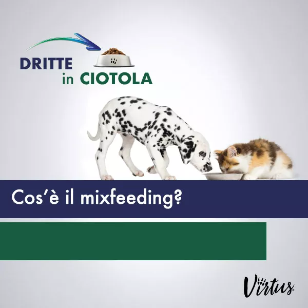 COS\'È IL MIXFEEDING?