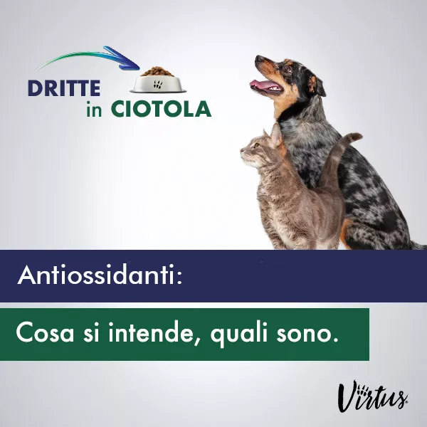 ANTIOSSIDANTI, COSA SI INTENDE?