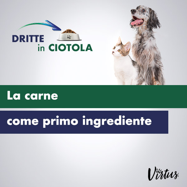 LE PROTEINE ANIMALI COME PRIMO INGREDIENTE