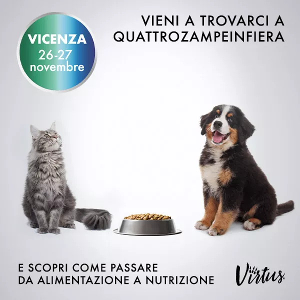 VIRTUS: partecipa a QUATTROZAMPEINFIERA!