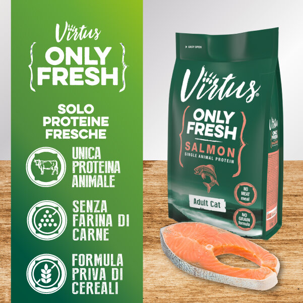 ONLY FRESH CAT: la nuova linea di cibo secco per GATTI